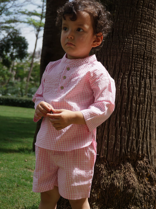 Blush Checks Cotton Co-ord Set for Kids – Gozi