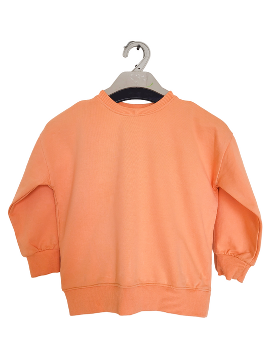 Sunrise Sorbet Orange Sweatshirt Top For Baby Boys and Girls