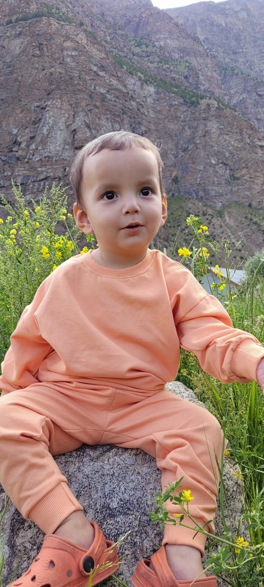 Sunrise Sorbet Orange Sweatshirt Top For Baby Boys and Girls