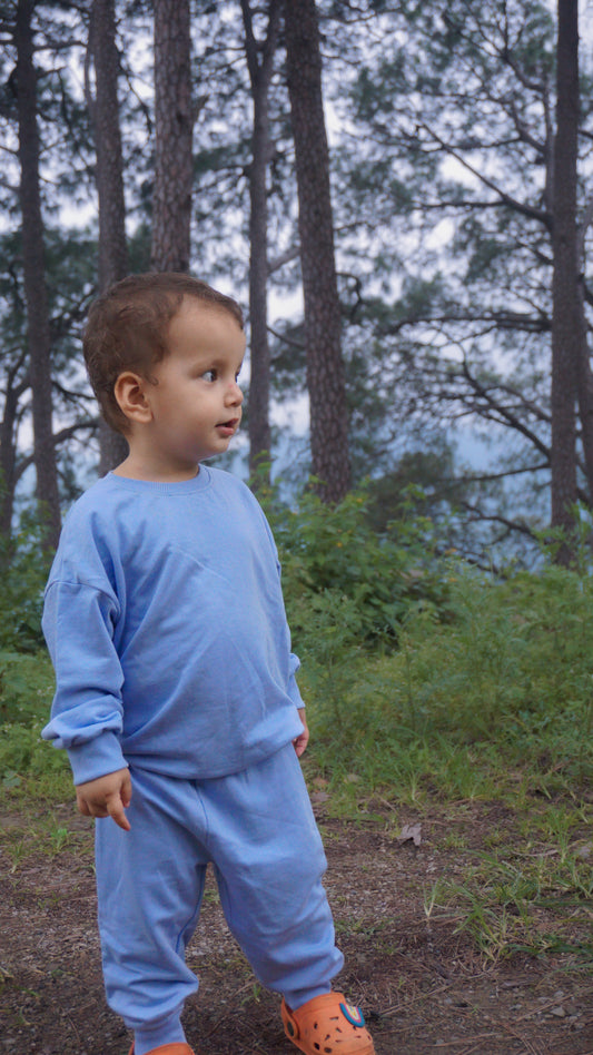 Alpine Sky 2 Piece Sweatshirt and Jogger Set For Baby Boys and Girls