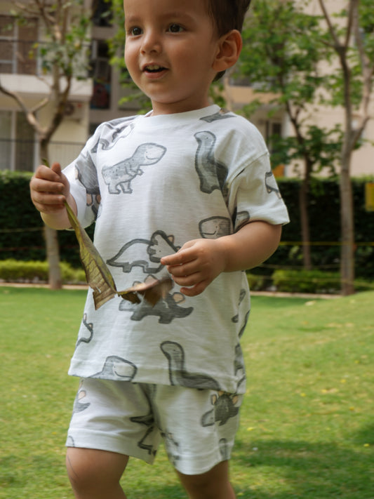 Tiny T-Rex Set