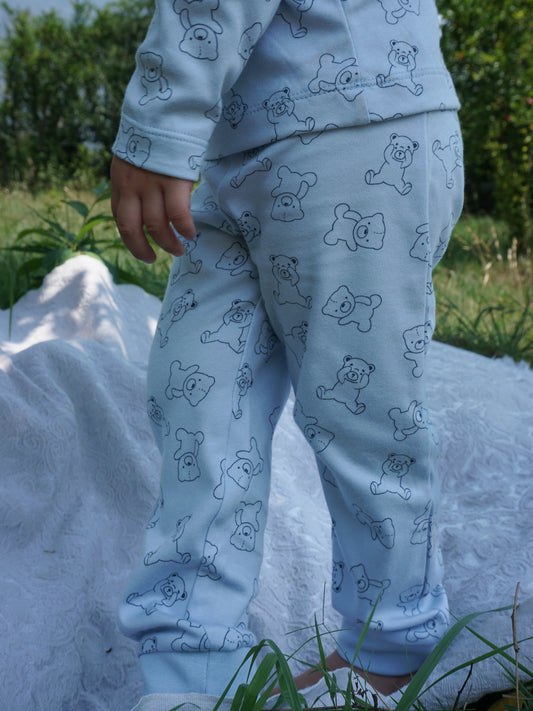 Bear Buddy Set