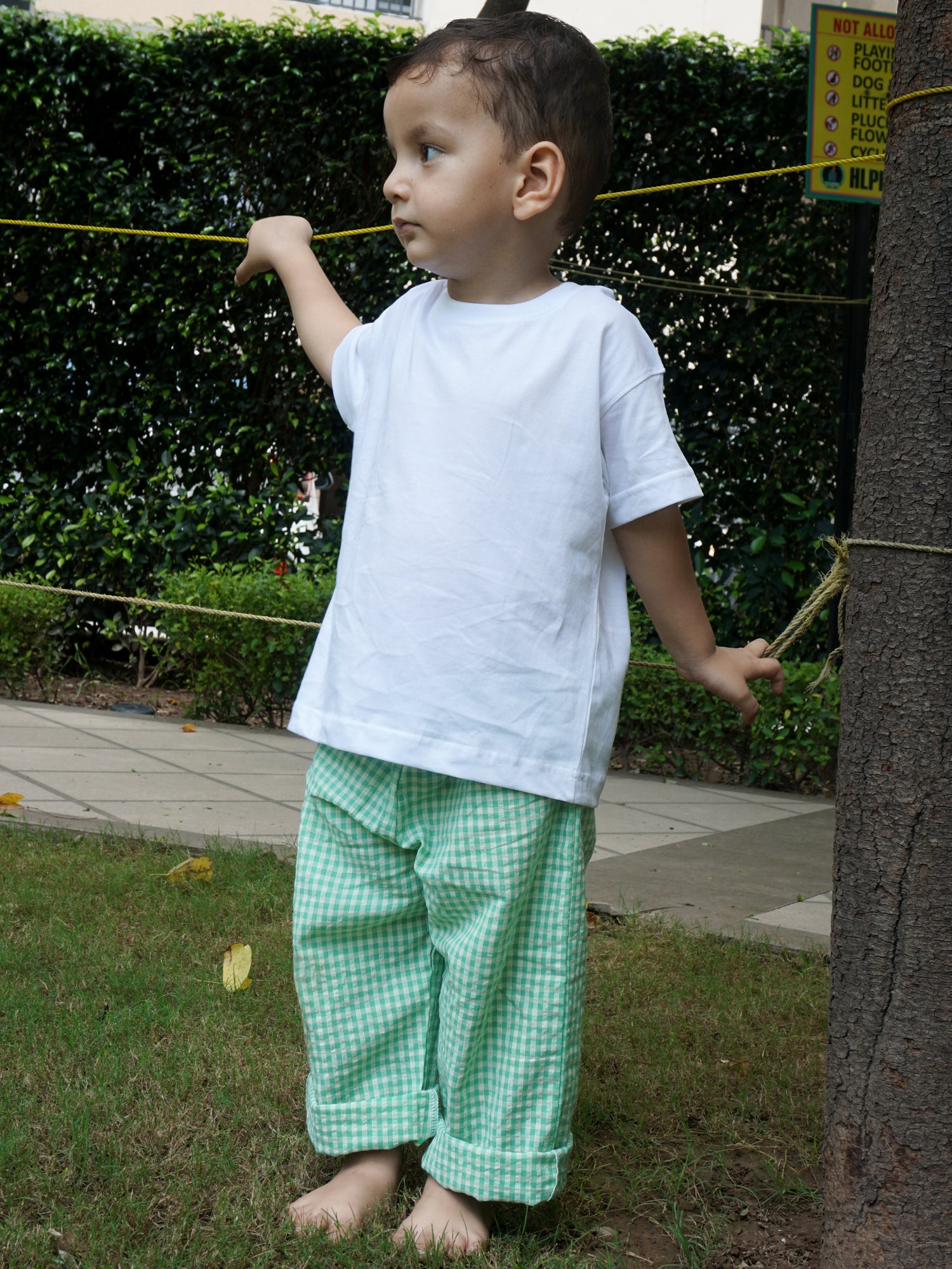 Cotton Pants